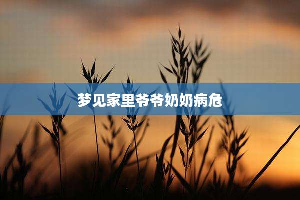 梦见家里爷爷奶奶病危