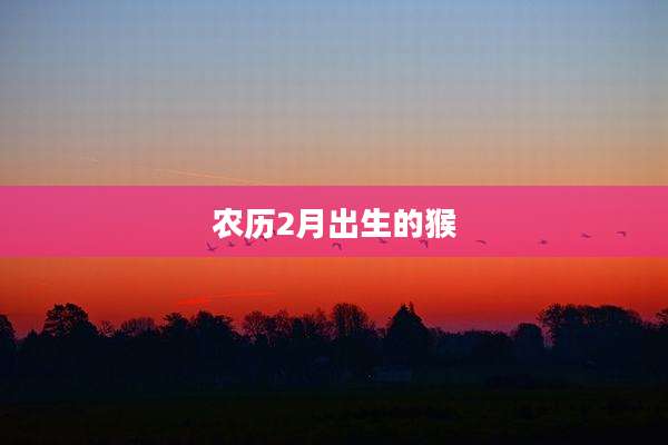 农历2月出生的猴
