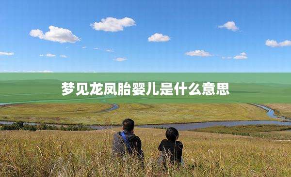 梦见龙凤胎婴儿是什么意思