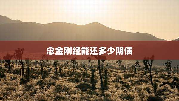 念金刚经能还多少阴债