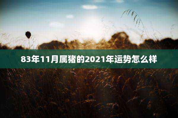 83年11月属猪的2021年运势怎么样