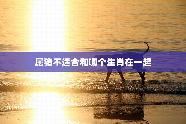 属猪不适合和哪个生肖在一起