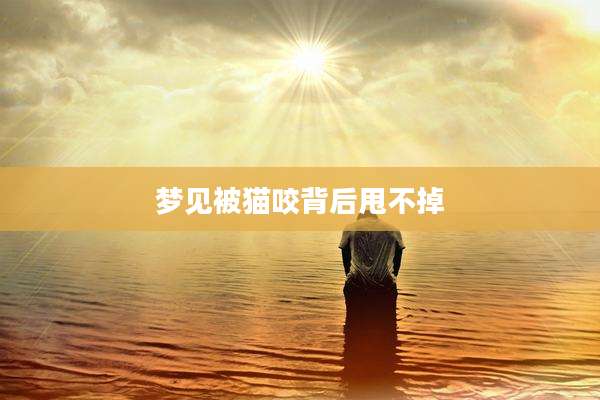 梦见被猫咬背后甩不掉