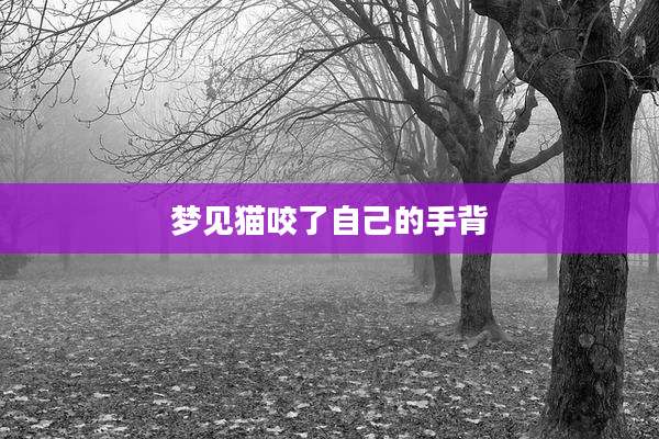 梦见猫咬了自己的手背