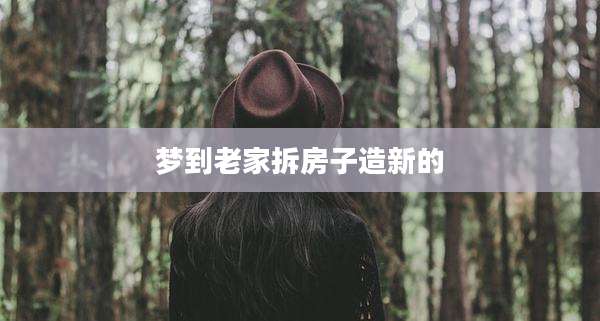 梦到老家拆房子造新的