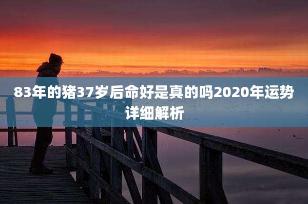 83年的猪37岁后命好是真的吗2020年运势详细解析