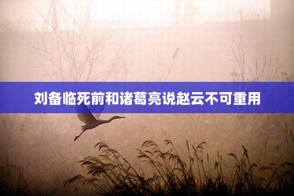 刘备临死前和诸葛亮说赵云不可重用