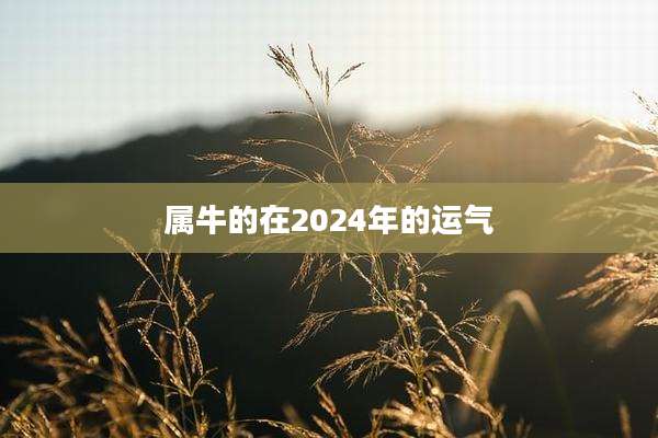属牛的在2024年的运气