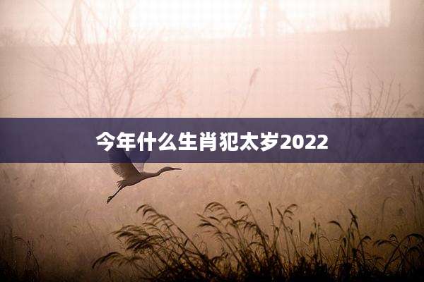 今年什么生肖犯太岁2022