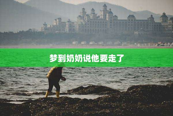 梦到奶奶说他要走了