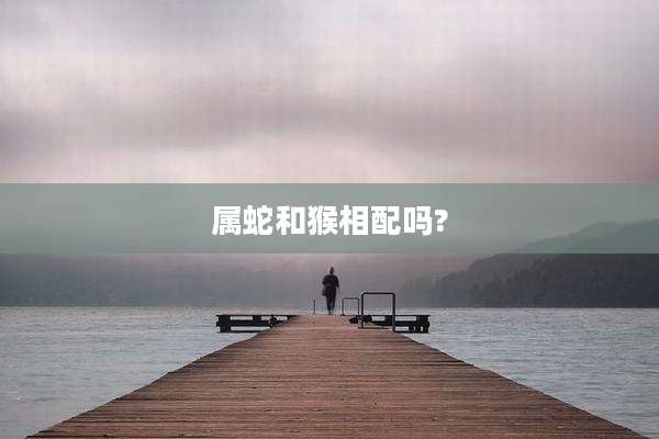 属蛇和猴相配吗?
