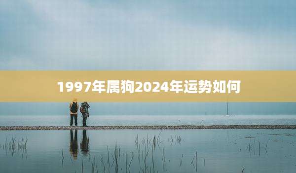 1997年属狗2024年运势如何