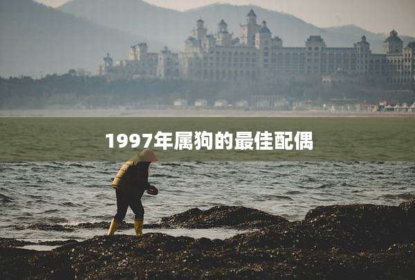 1997年属狗的最佳配偶