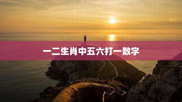 一二生肖中五六打一数字