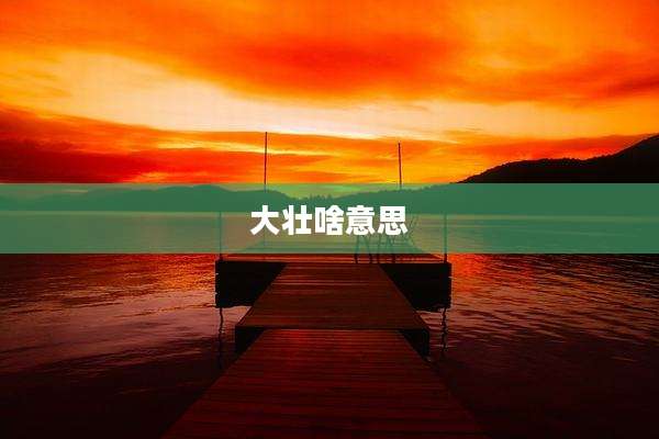 大壮啥意思