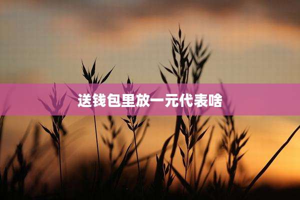 送钱包里放一元代表啥