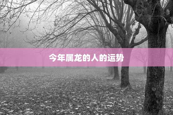 今年属龙的人的运势
