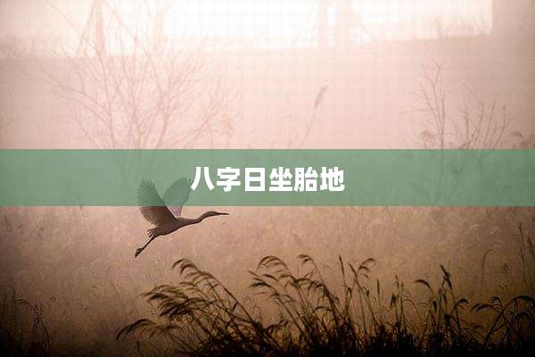 八字日坐胎地
