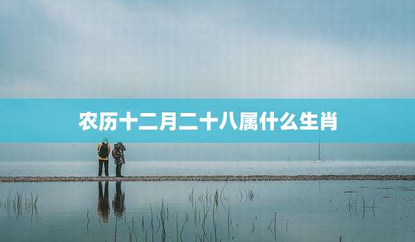 农历十二月二十八属什么生肖