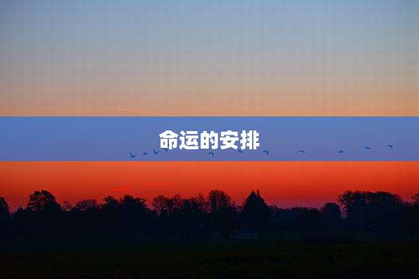 命运的安排