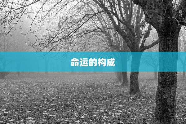 命运的构成