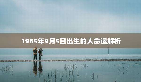 1985年9月5日出生的人命运解析