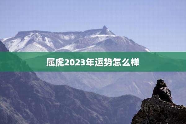 属虎2023年运势怎么样