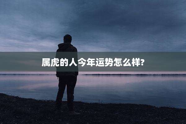 属虎的人今年运势怎么样?