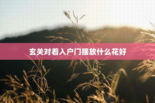 玄关对着入户门摆放什么花好