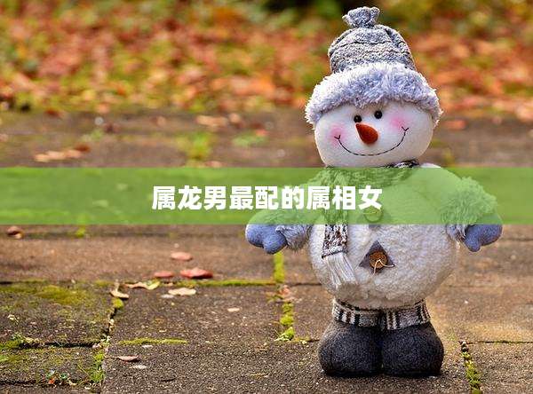 属龙男最配的属相女