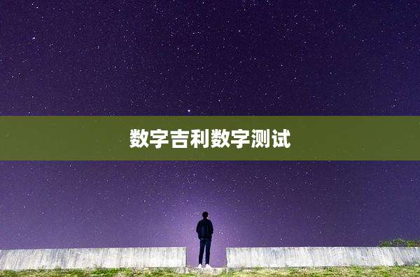 数字吉利数字测试