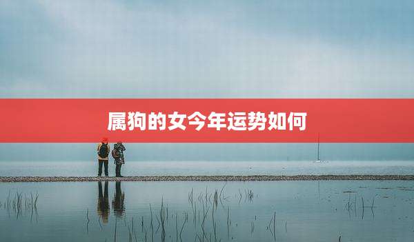 属狗的女今年运势如何