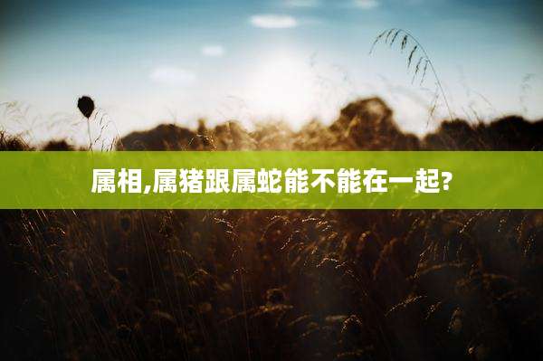 属相,属猪跟属蛇能不能在一起?