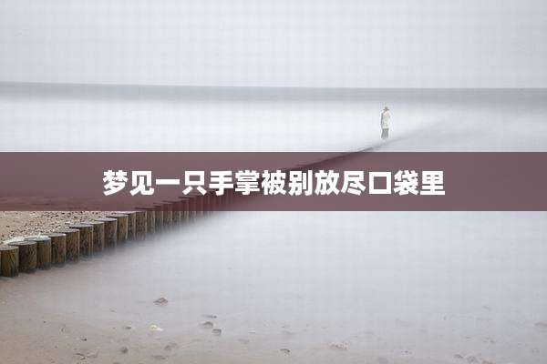 梦见一只手掌被别放尽口袋里