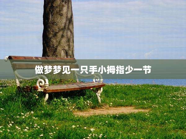 做梦梦见一只手小拇指少一节