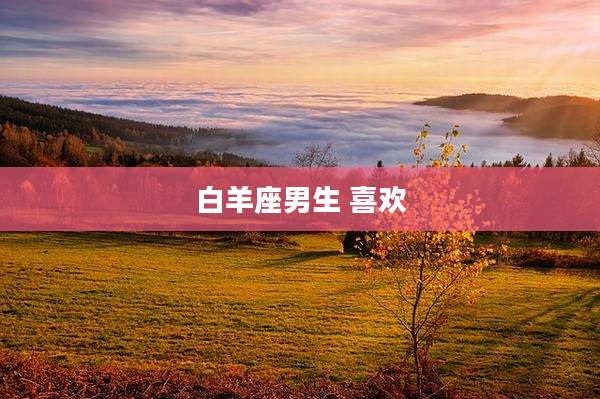 白羊座男生 喜欢