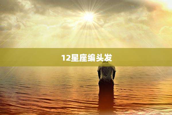 12星座编头发