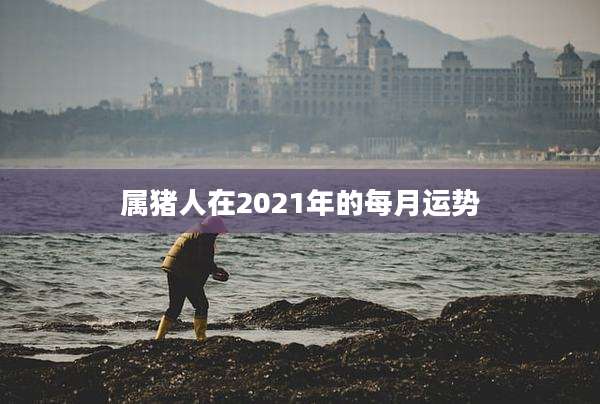 属猪人在2021年的每月运势