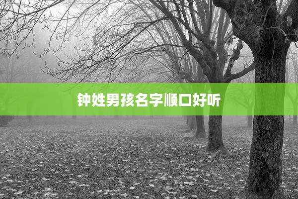 钟姓男孩名字顺口好听