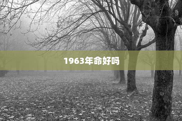 1963年命好吗