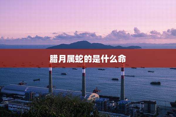 腊月属蛇的是什么命