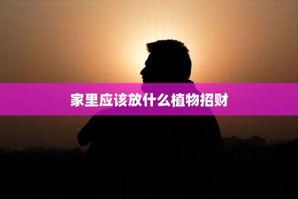 家里应该放什么植物招财