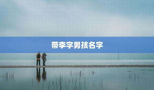 带李字男孩名字