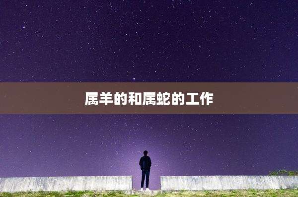 属羊的和属蛇的工作