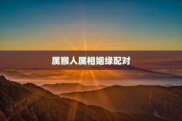 属猴人属相姻缘配对
