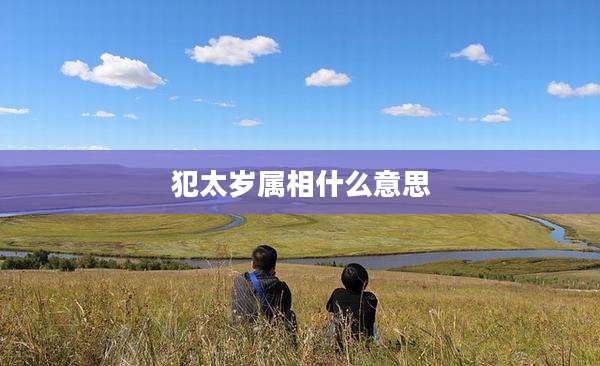 犯太岁属相什么意思