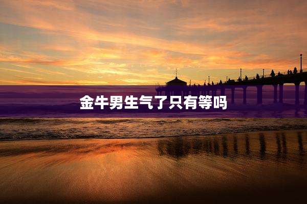 金牛男生气了只有等吗