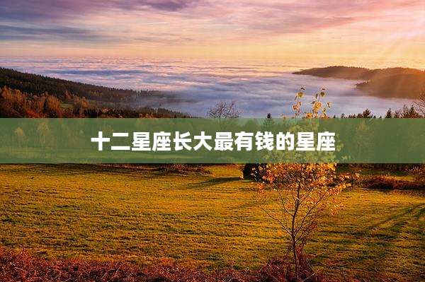 十二星座长大最有钱的星座