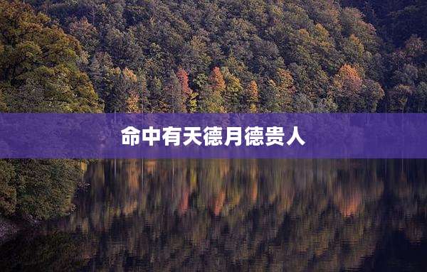命中有天德月德贵人