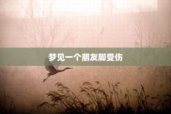 梦见一个朋友脚受伤